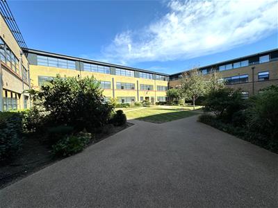 Picture 7